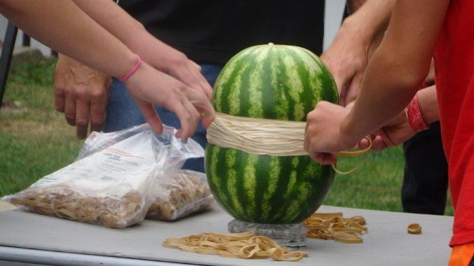 4thAnnualPauleyPicnic