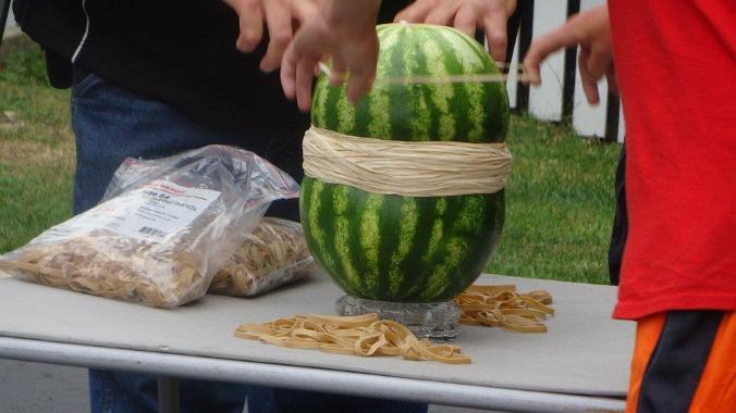 4thAnnualPauleyPicnic