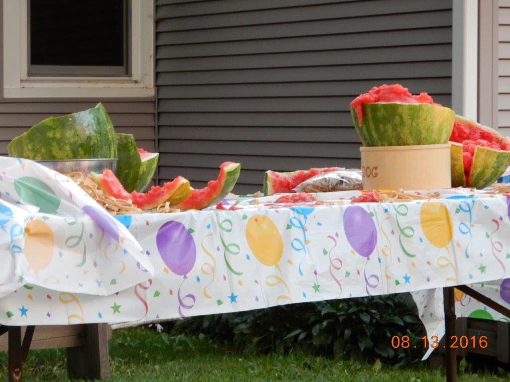 5thAnnualPauleyPicnic