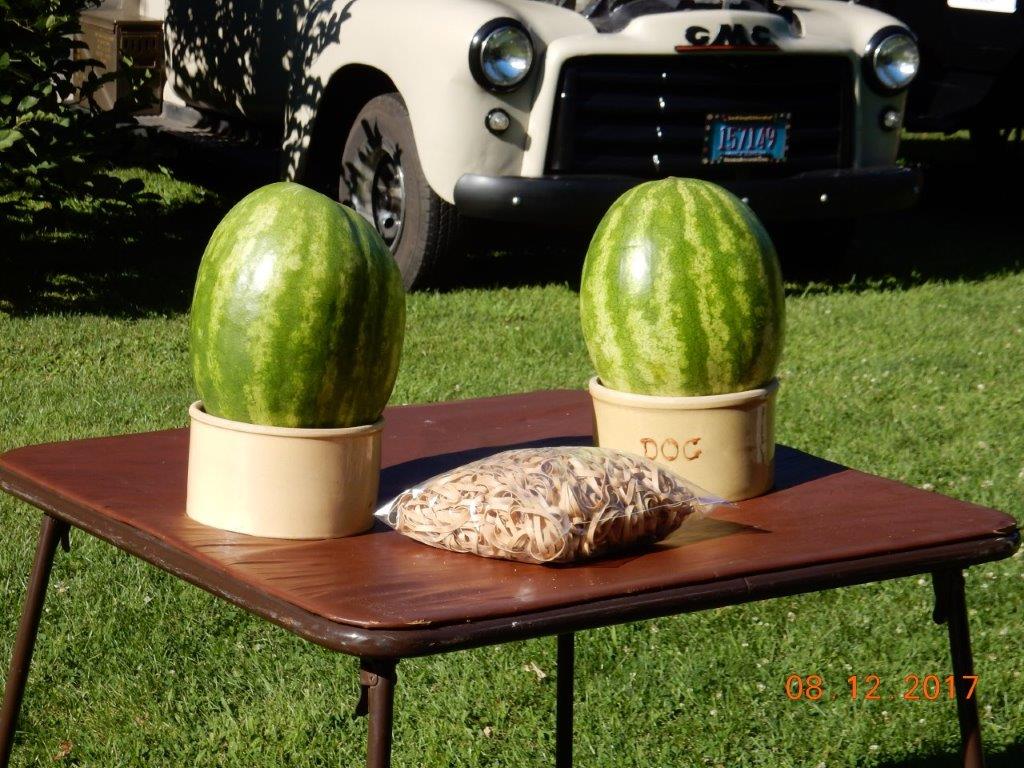 6thAnnualPauleyPicnic