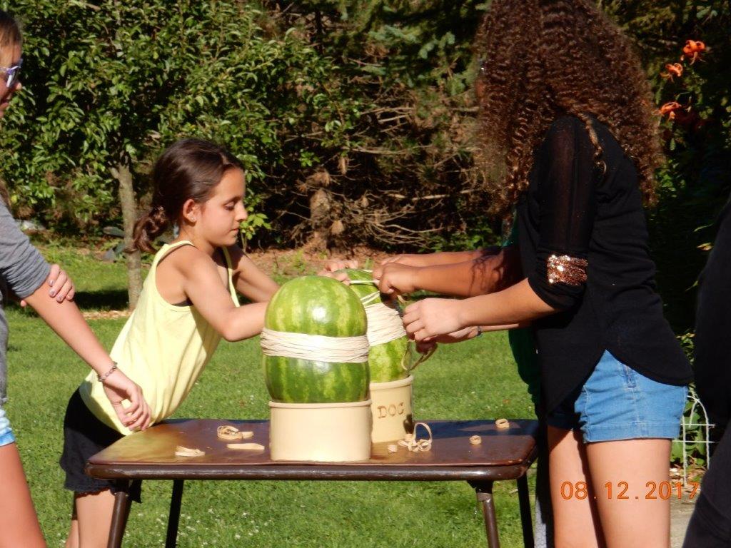 6thAnnualPauleyPicnic