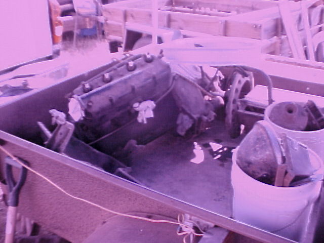 IOLA2011