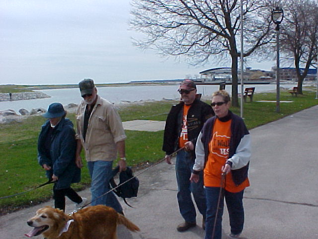 MSWalk2014