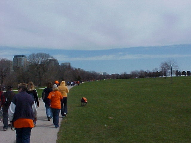 MSWalk2014