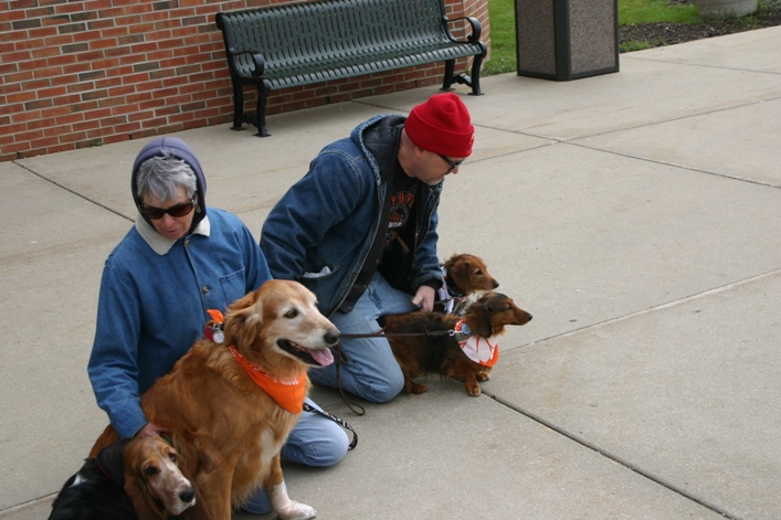 MSWalk2015