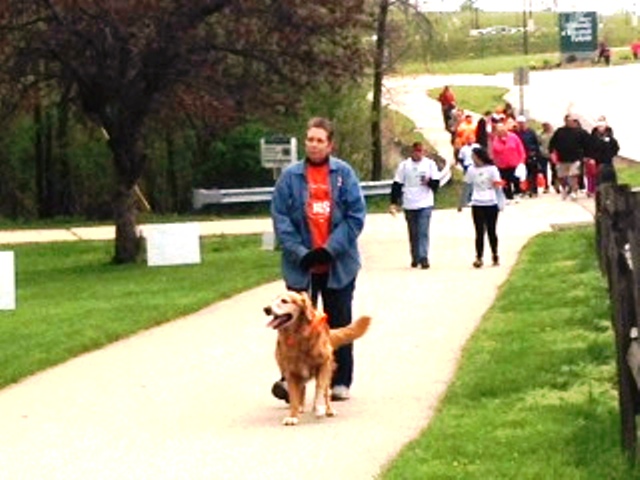 MSWalk2015