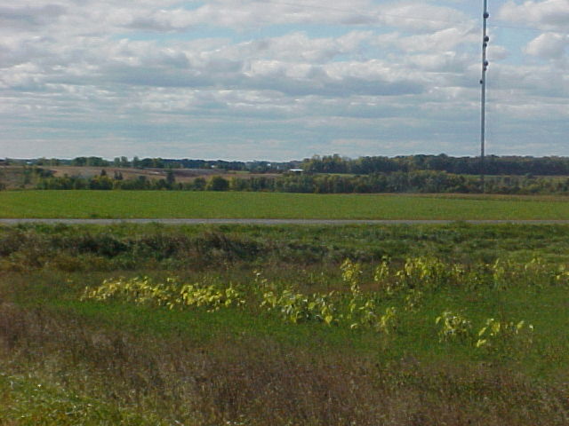 Manitowoc