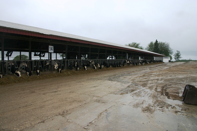 RosieFarm