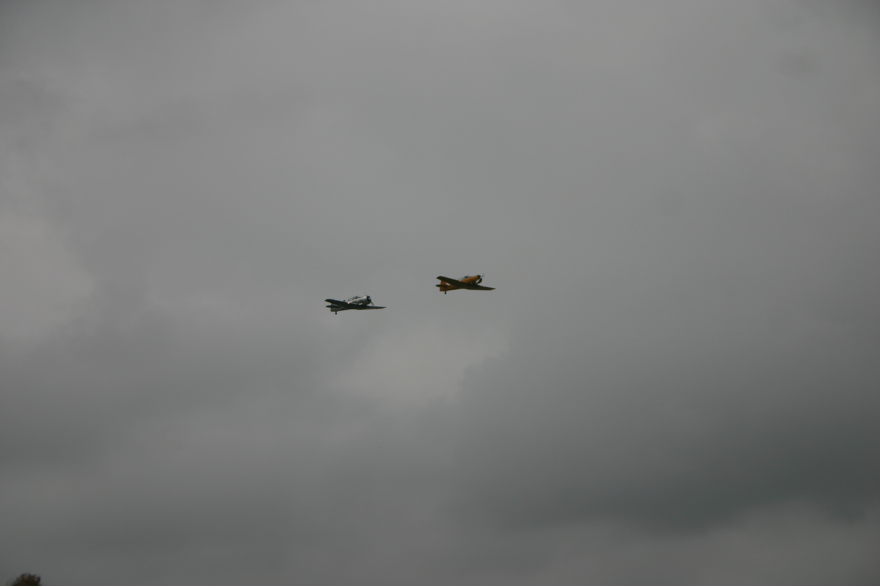 WingsOverWaukesha