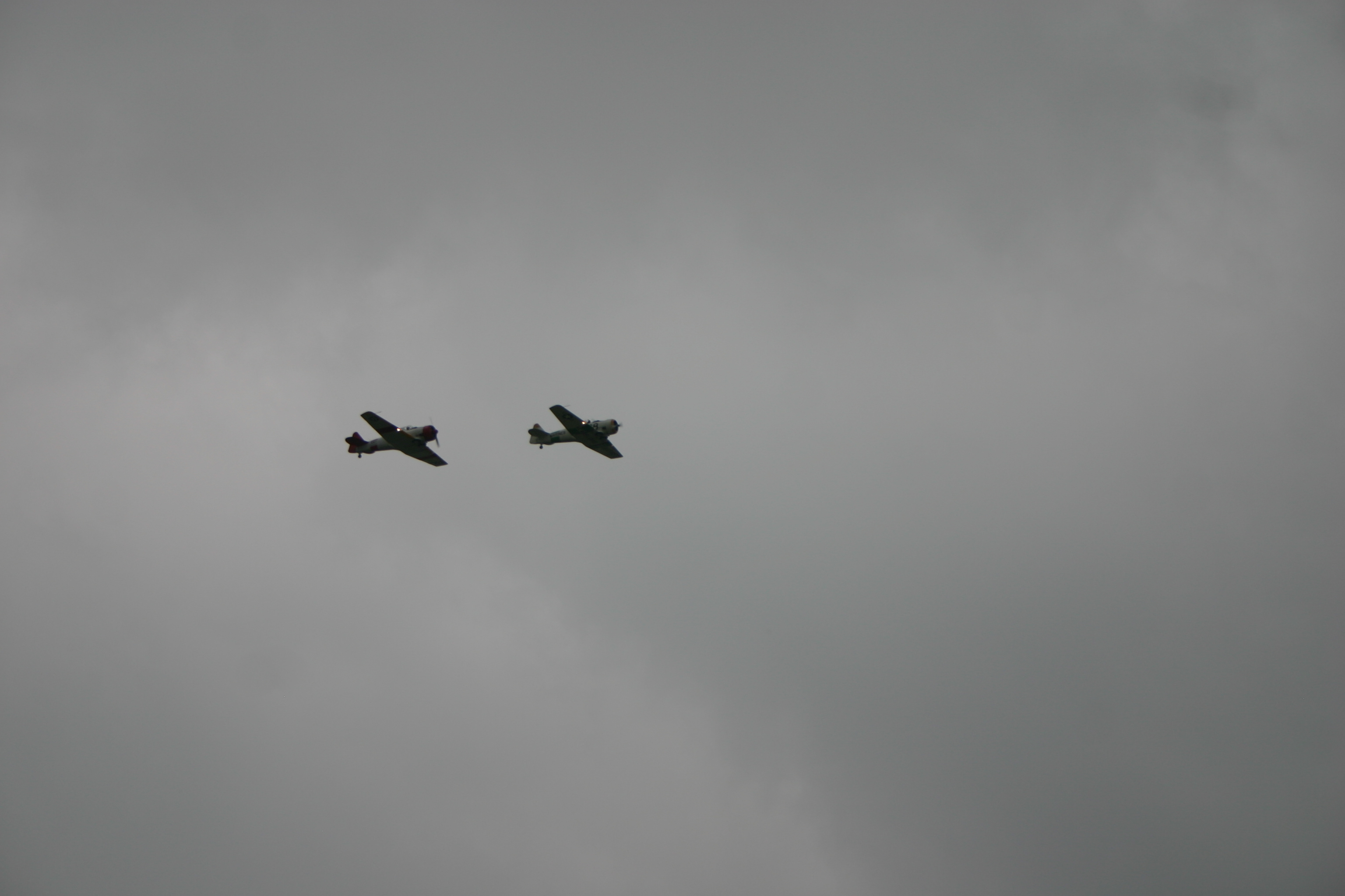 WingsOverWaukesha